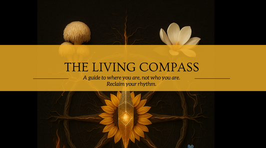 The Compass That Doesn’t Point North—It Points Inward