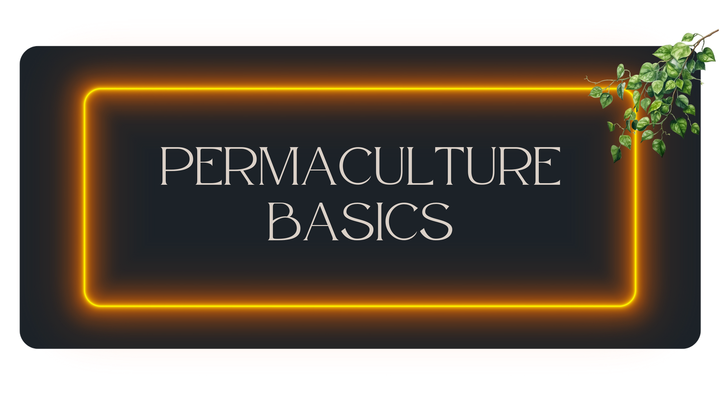 Permaculture Basics