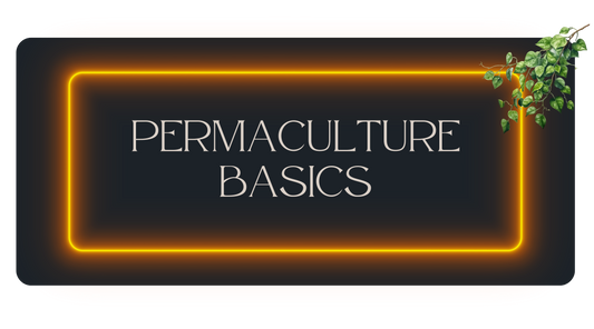 Permaculture Basics